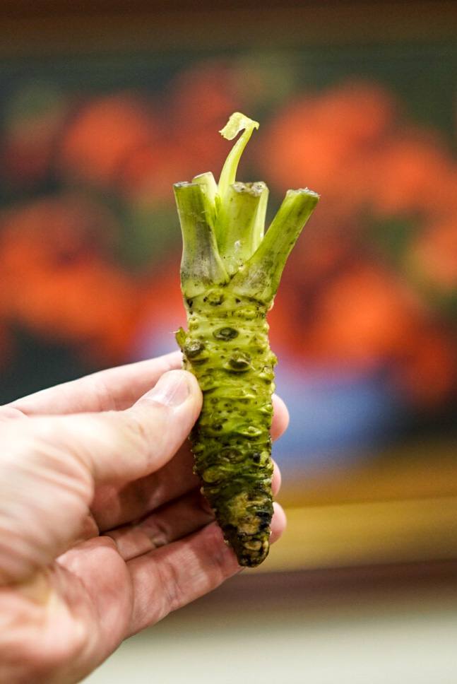 Проект «Васаби»